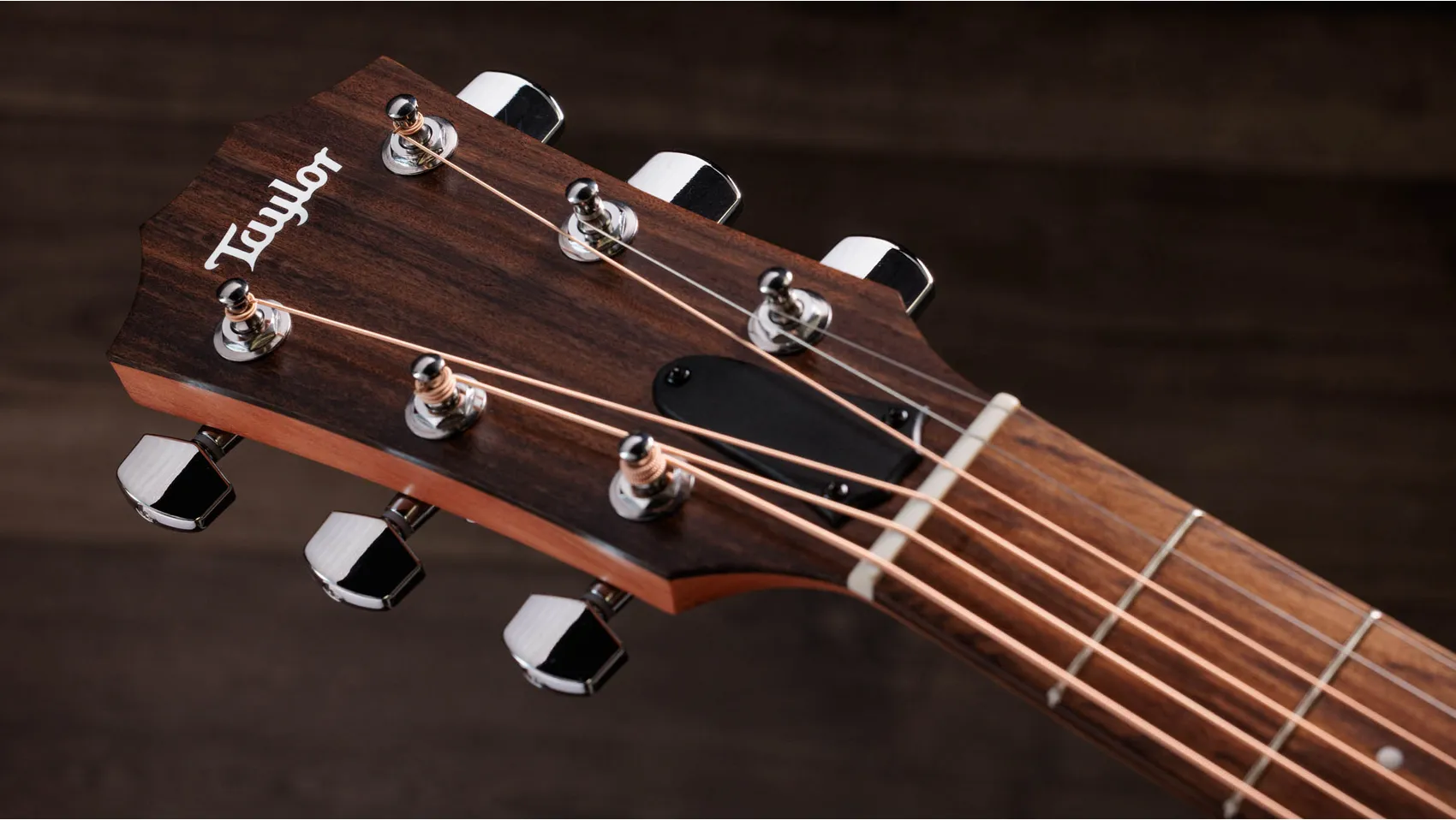 114ce Special Edition Sapele Acoustic-Electric Guitar | Taylor Guitars